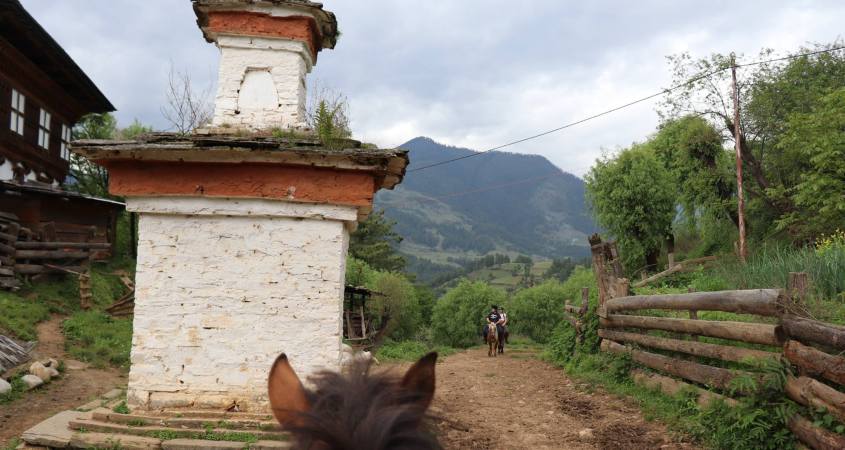 A stupa in the himalayan mountains seen through a Bhutanese pony's ears