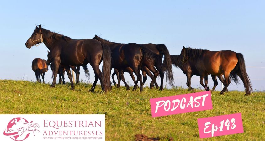 Equestrian Adventuresses Travel and Horse Podcast Ep 143 - Bosnian Mountain Horse